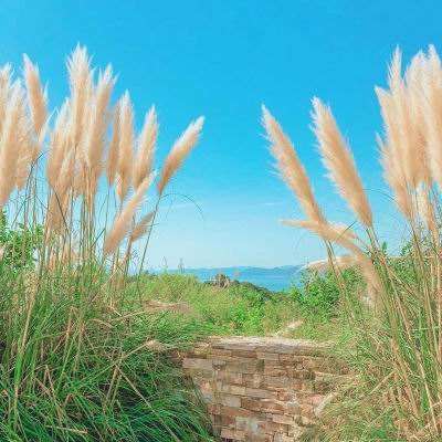 澳门第一娱乐娱城官网下载手机版