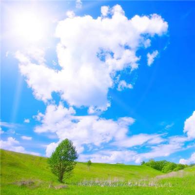 BOB体育官网下载入口