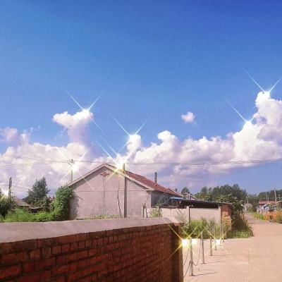 奔驰宝马游戏下载